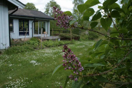 Syrenbersån  vid uteduschen